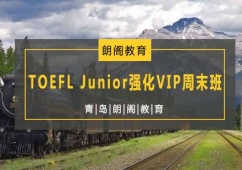 TOEFLJuniorVIPĩ