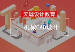 CеCADOӋӖ