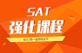 悽SATn