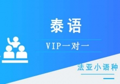 ɶ̩ZVIPһһӖ