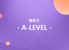 ϺA-LEVELvӖࣨASW