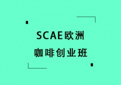 ϺSCAEW޿ȄIӖ