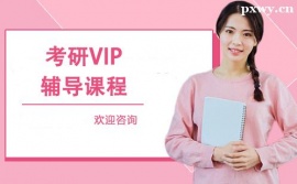 ʯfVIPon