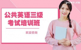 麣ӢZԇӖ