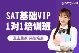 SATA(ch)VIP1(du)1Ӗ(xn)
